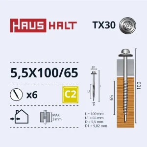 SCREW.SELF-TAP.5.5X100 TORX/EMPD ZN 6GB BL