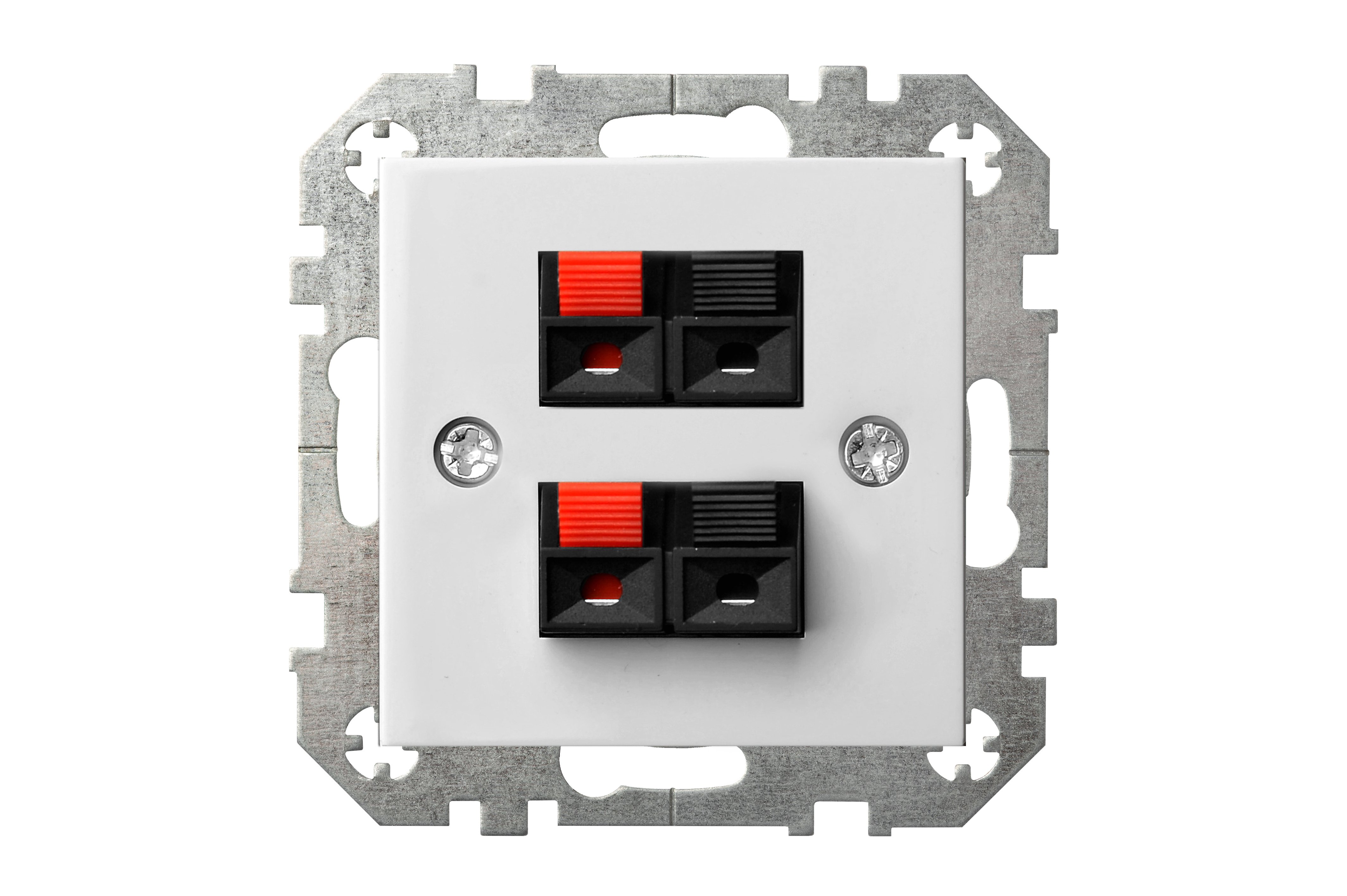 2 SKAĻRUŅU LIGZDA IGL-002-01 EPSILON