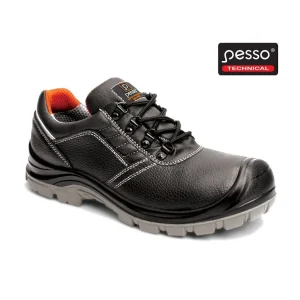 AIZSARGAPAVI B469 S3 SRC 43 PESSO
