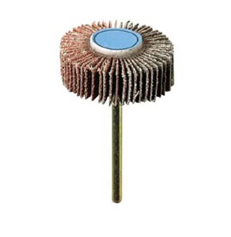 DISKS FOR DREMEL 502 K 80, D=28.6, 1 PC.