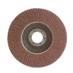 ZIED. SLĪPRIPA HAUSHALT D115 NR 100