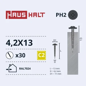 SKRŪV.PAŠG.4,2X13 MET RAL7024 30GB BL