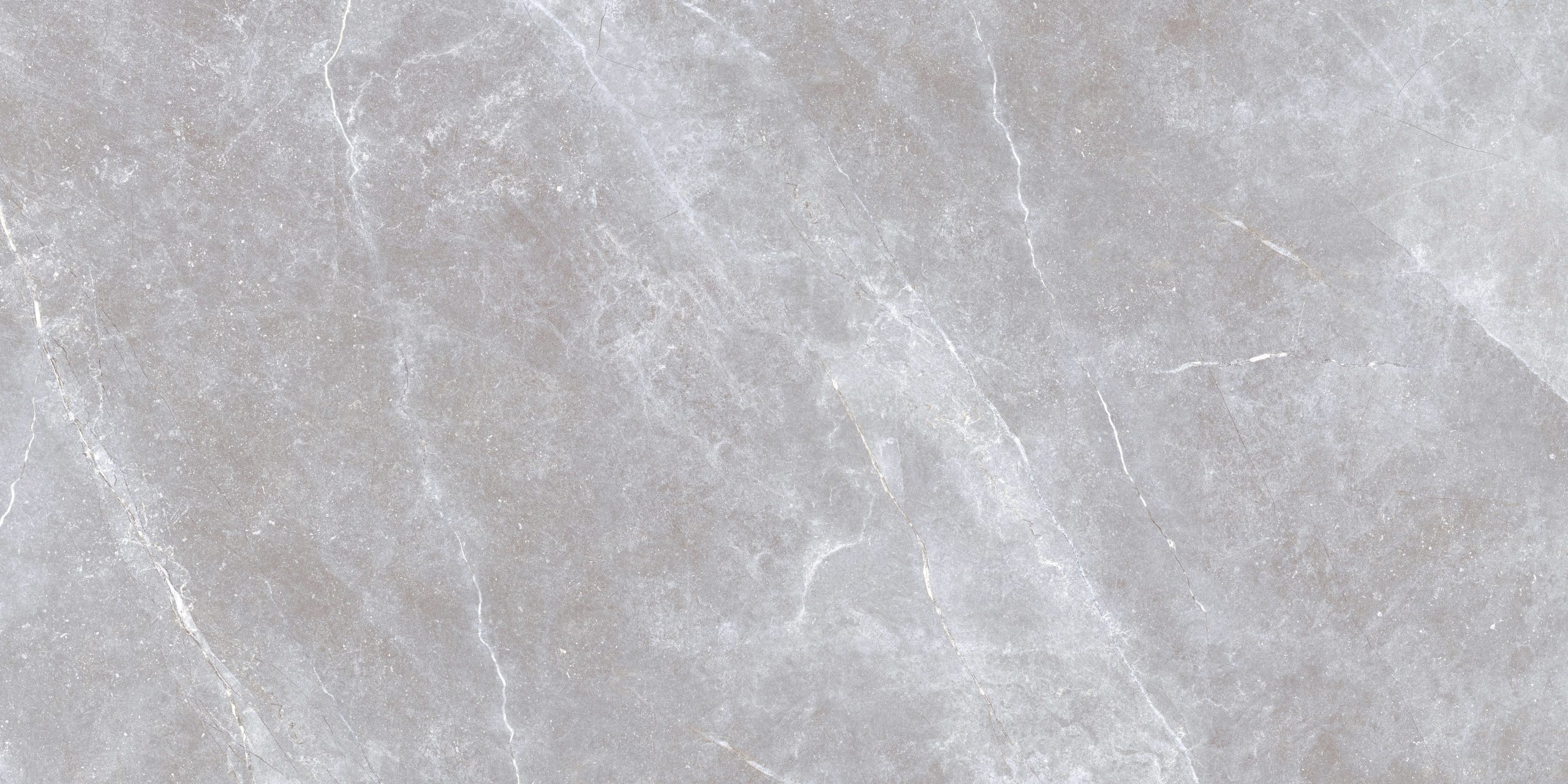TILE OKM.M. SPACE STONE GRAY REC 60X120