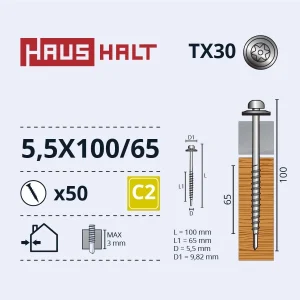 SKRŪVE PAŠGRIEZ 5,5X100/65 TORX ZN (50)