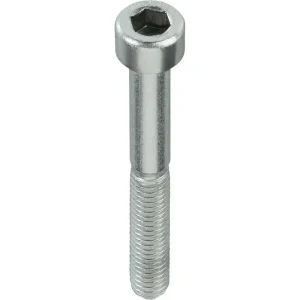 SKRŪVES DIN912 M12X70 MM ZN 50 GAB.