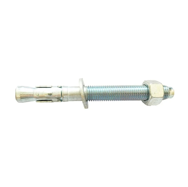 ANCHOR SCREW WITH WASHER 10X120 2PCS