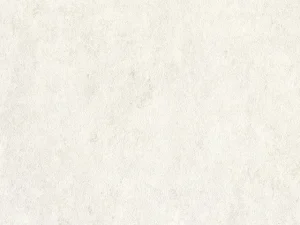 TAPETES VIN. B119 1301-10 PEL.SPĪD.1.06M