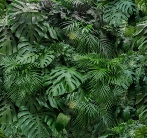 FOTOTAPETE 0.5X2.8MX6 119594 RAINFOREST