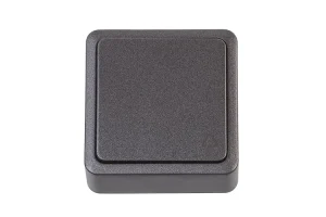 SLĒDZIS P110-010V 1KL ANTR SL+