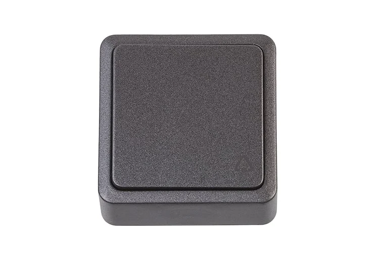 SLĒDZIS P110-010V 1KL ANTR SL+