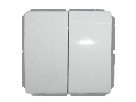 ПЕРЕКЛЮЧАТЕЛЬ VILMA SL250 1+1 B/R БЕЛЫЙ
