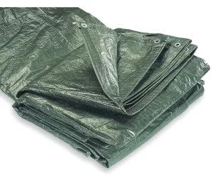 PĀRKLĀJS FXA 6X10M 100GR/M2 ZAĻŠ