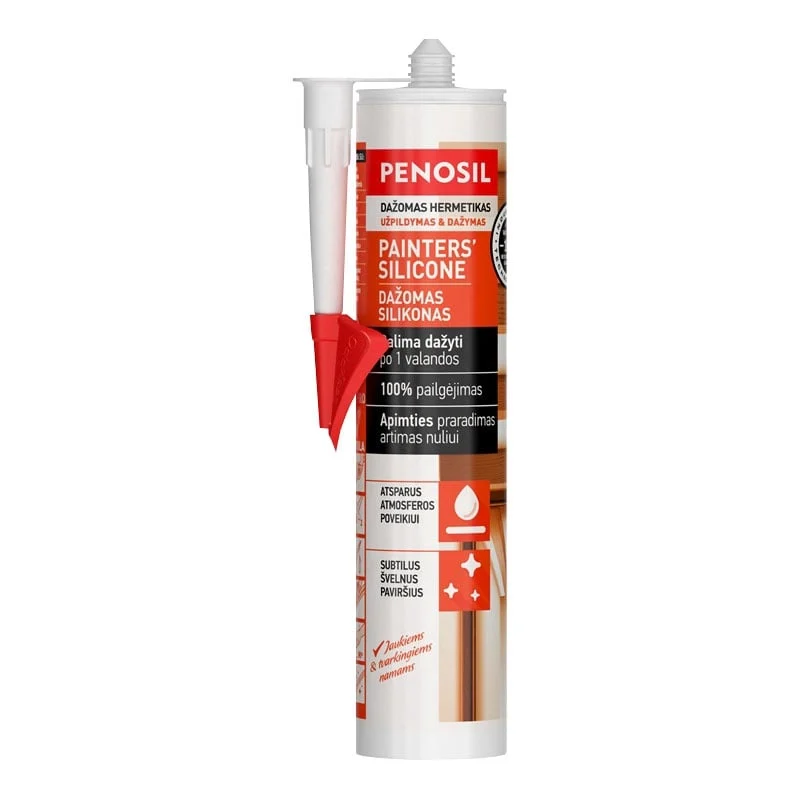 SILICONE PENOSIL PAINTABLE 290ML