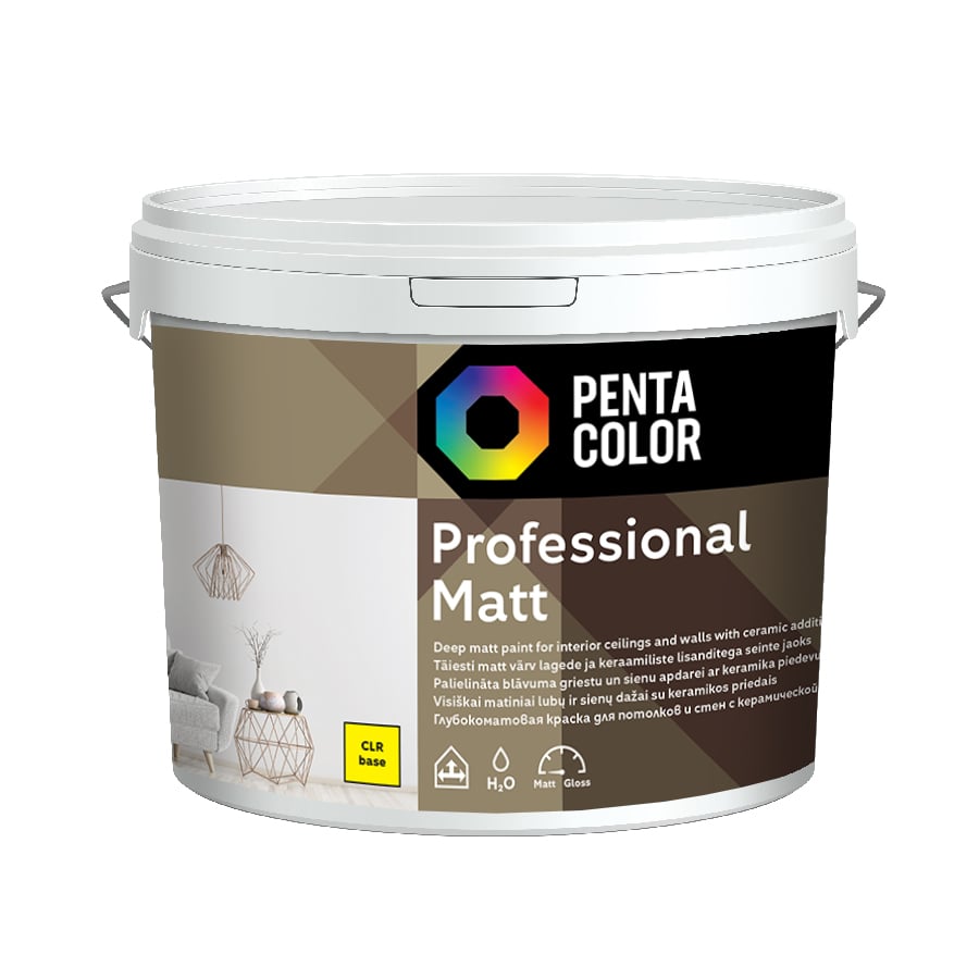 KRĀSA DISP PROFESSIONAL MAT CLR BĀZE 3 L
