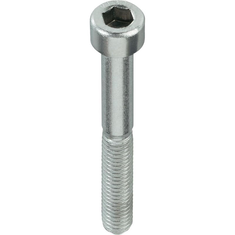 SCREWS DIN912 M10X25 MM ZN 100 PCS.