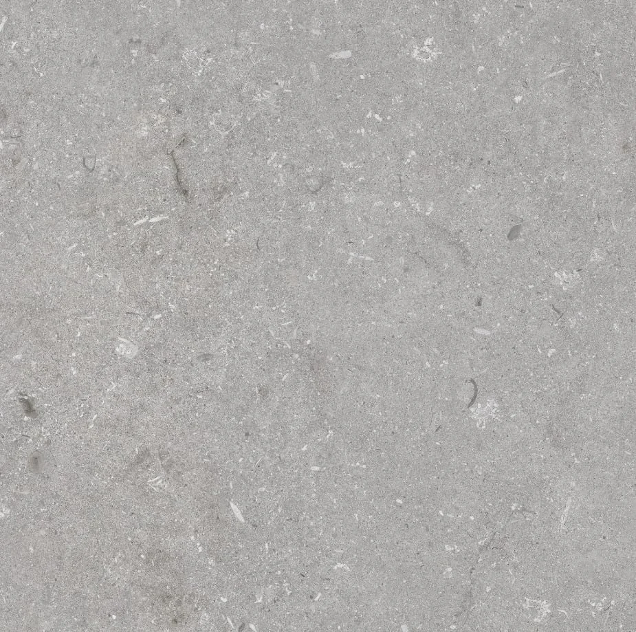 FLĪZE AKM.M. SHELLSTONE GRIGIO 60X60(1.8
