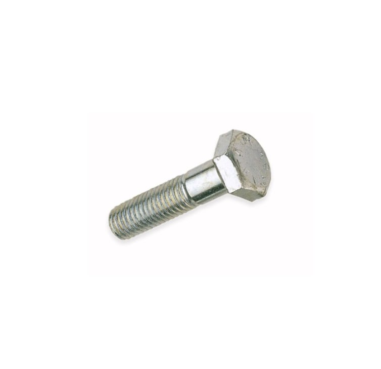 BULTSKRŪVE DIN931 12X160 ZN 2GB BL