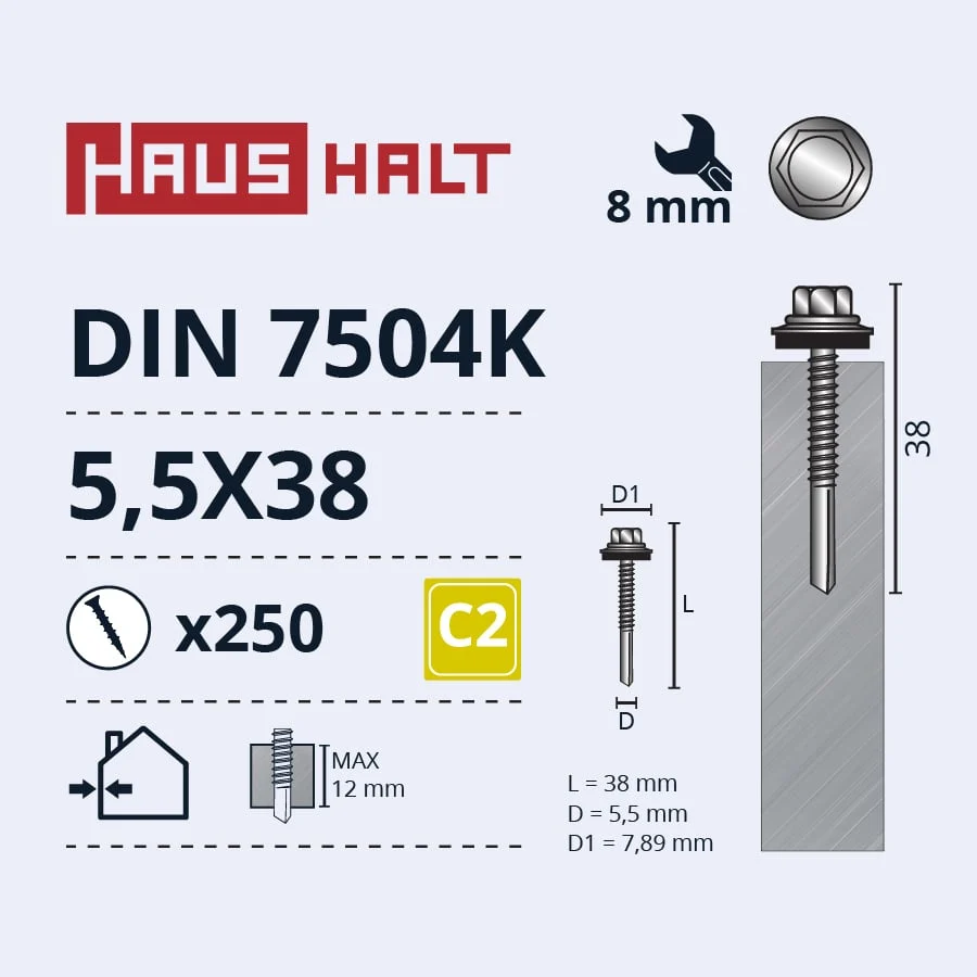 SKRŪVE PAŠGRIEZ 5,5X38 DIN7504K12MM(250)