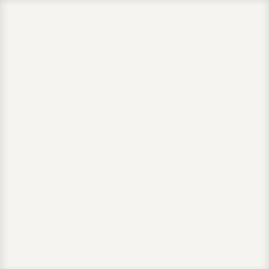FL WALL PASTEL WHITE MAT 20X20 (1)