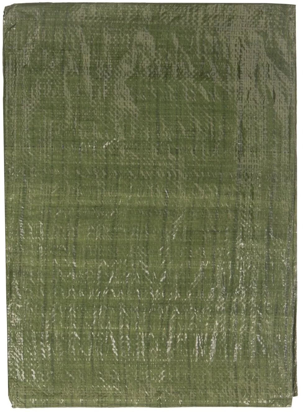 PĀRSEGS ZAĻŠ 2X3M 65GSM