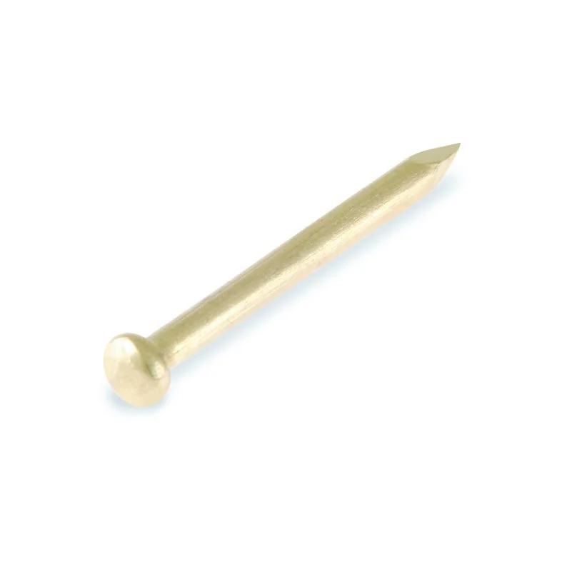 Nails with Round Head 1.2X20 Steel 30g