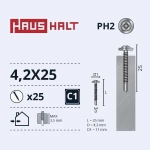 SKRŪV.PAŠG.4,2X25 MET+DRILL ZN 25GB BL