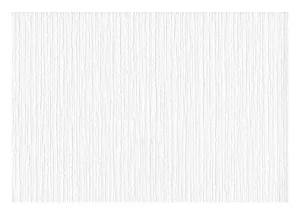 TAPETES KRĀSOJAMĀS RASCH-SINTRA 676103
