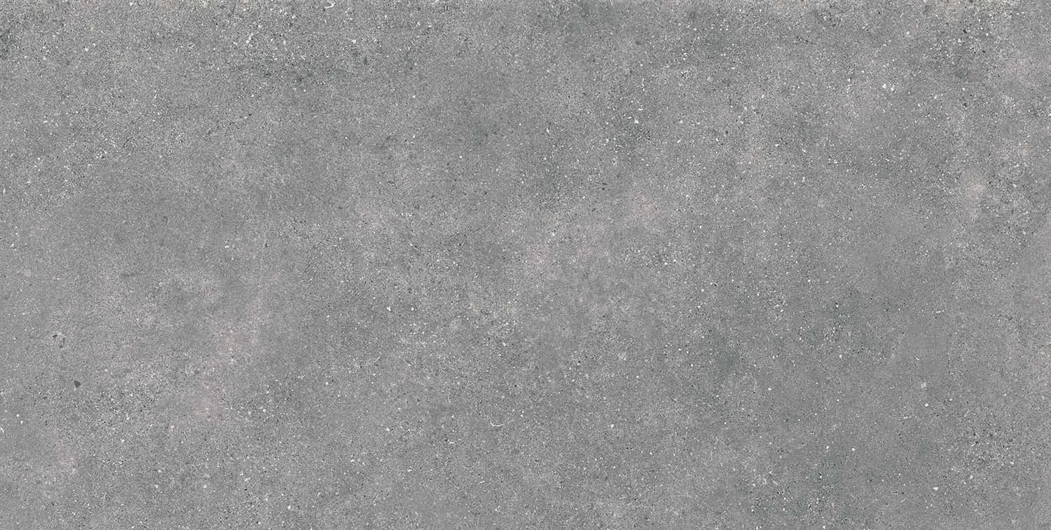 TILE AKM.M PORTL GRIS MATE 60X120 (1.44