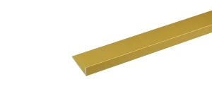 STŪRAINIS ALUM.ANOD.ZELTA 1000X20X10MM
