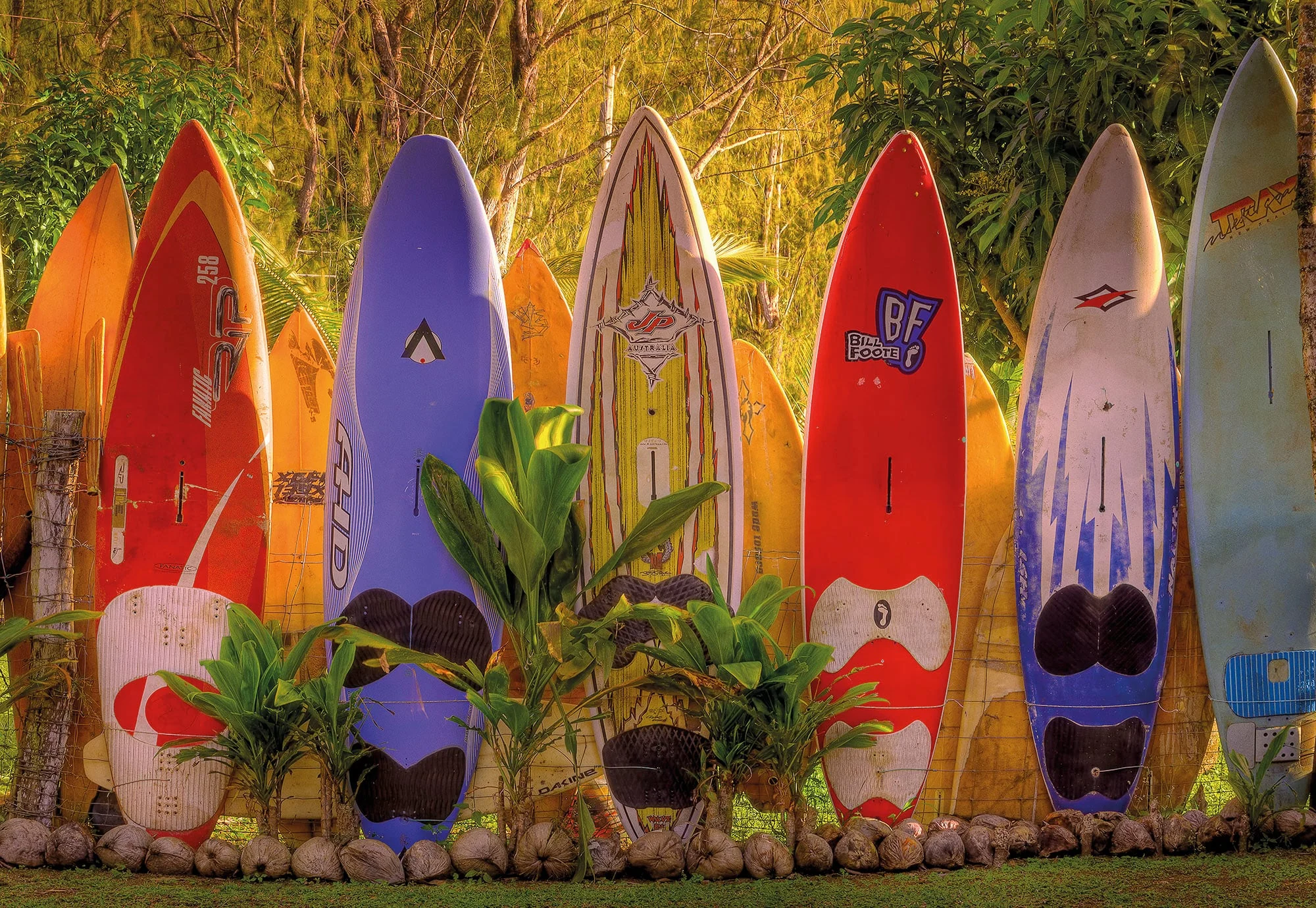 FOTOTAPETE 368X254CM 8-902 MAUI