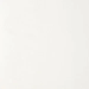 APDARES PANELIS WHITE 10X100X2600MM(2.6)