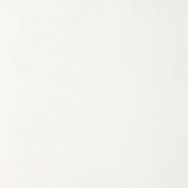APDARES PANELIS WHITE 10X100X2600MM(2.6)
