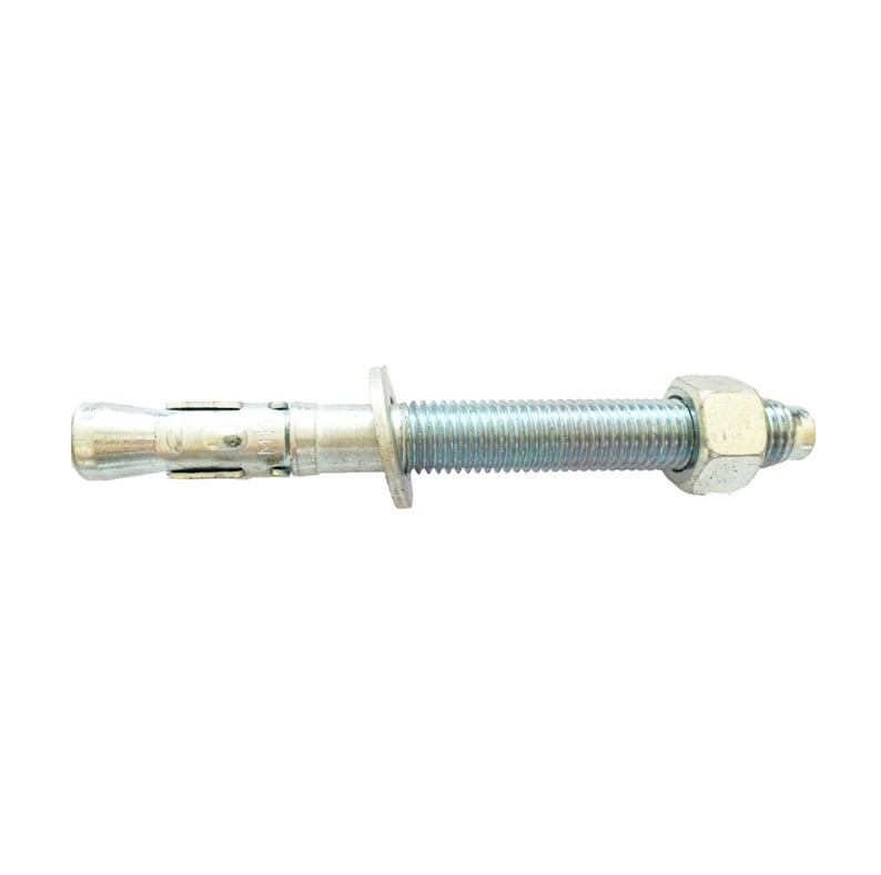 SCREW ANCHOR+RING 12X80 (20-200)
