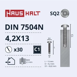 SKRŪVE PAŠG.4,2X13 DIN7504N ZN 30GAB BL