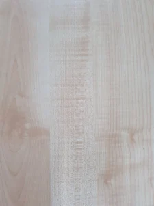 DETAĻA LAMINĒTA 295X865X16 KĻAVA