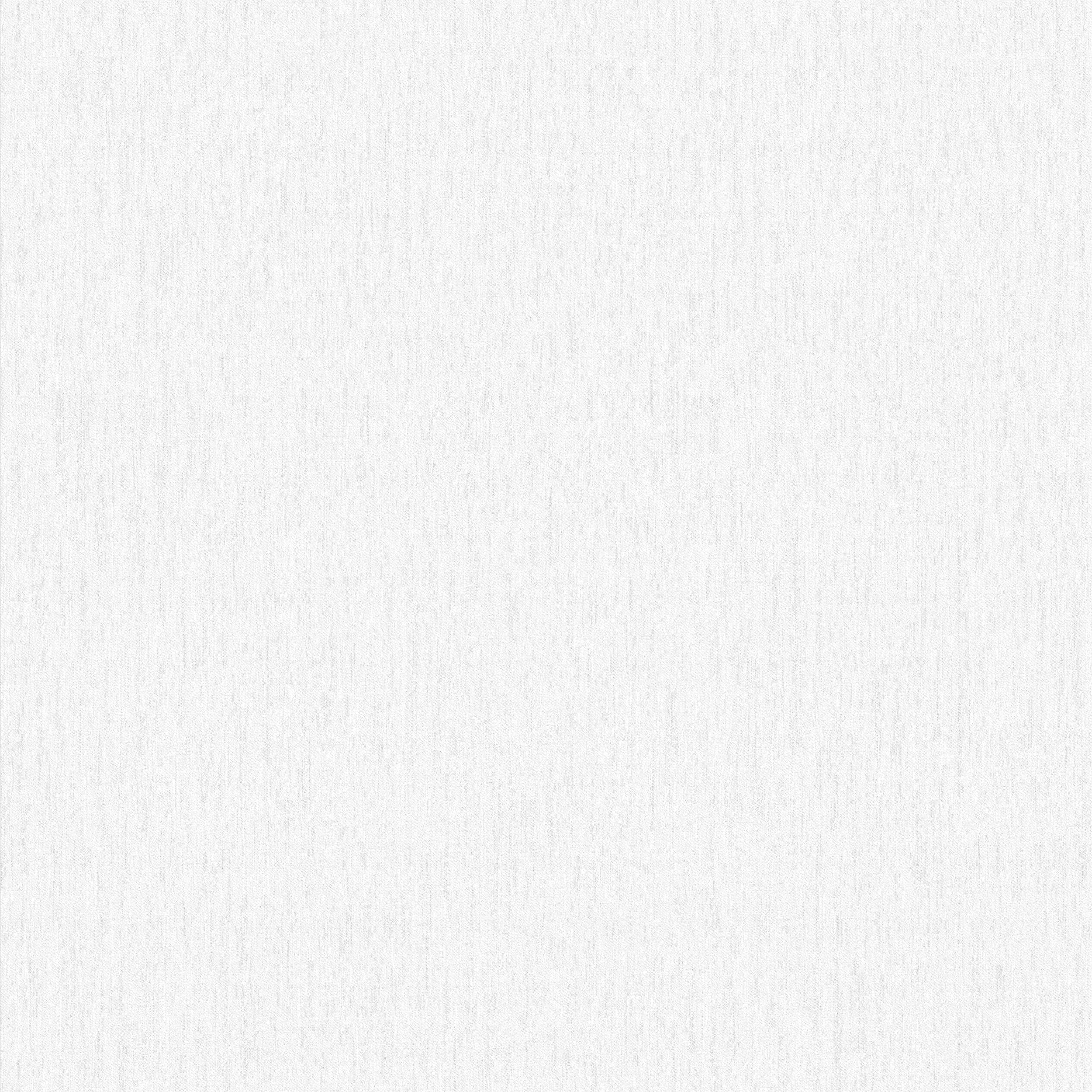 VINYL WALLPAPER 452417 WHITE.TEX.1.06M
