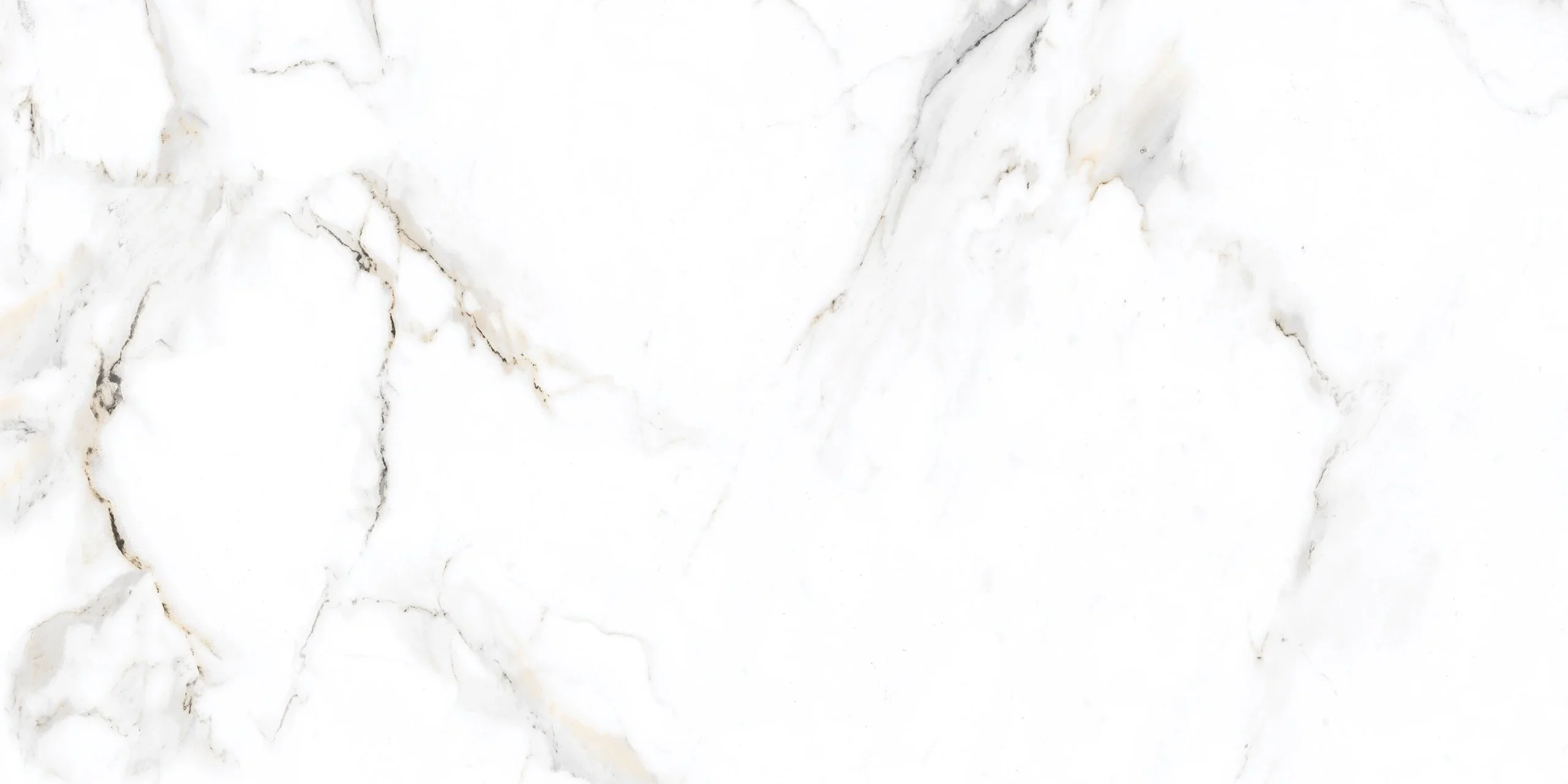 A.MAS.FL STATUARIO MARBLE REC60X120(1.44
