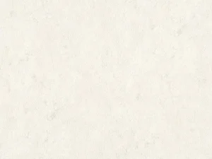 TAPETES VIN.B119 1301-06 KRĒM.SPĪD.1.06M