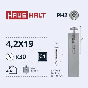 SKRŪV.PAŠG.4,2X19 MET+DRILL ZN 30GB BL
