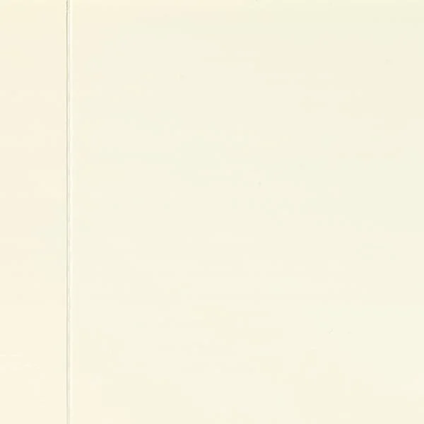 APDARES PANELIS PVC 1.2X0.25M C.WH/GLOSS
