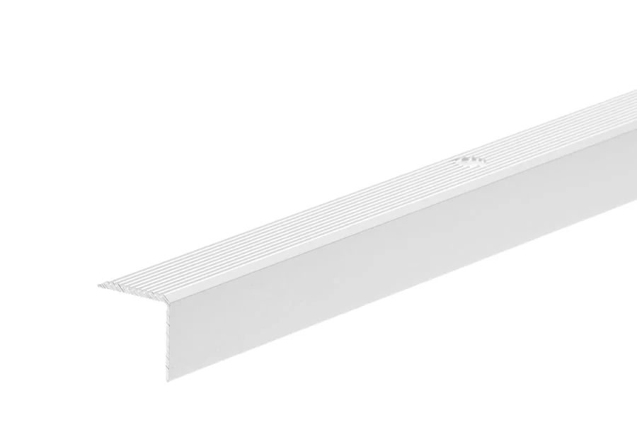 ЛЕСТНИЧНЫЙ ПРИБО́Р ЦЕЗАР. СЕРЕБРИСТЫЙ 2000X20MM