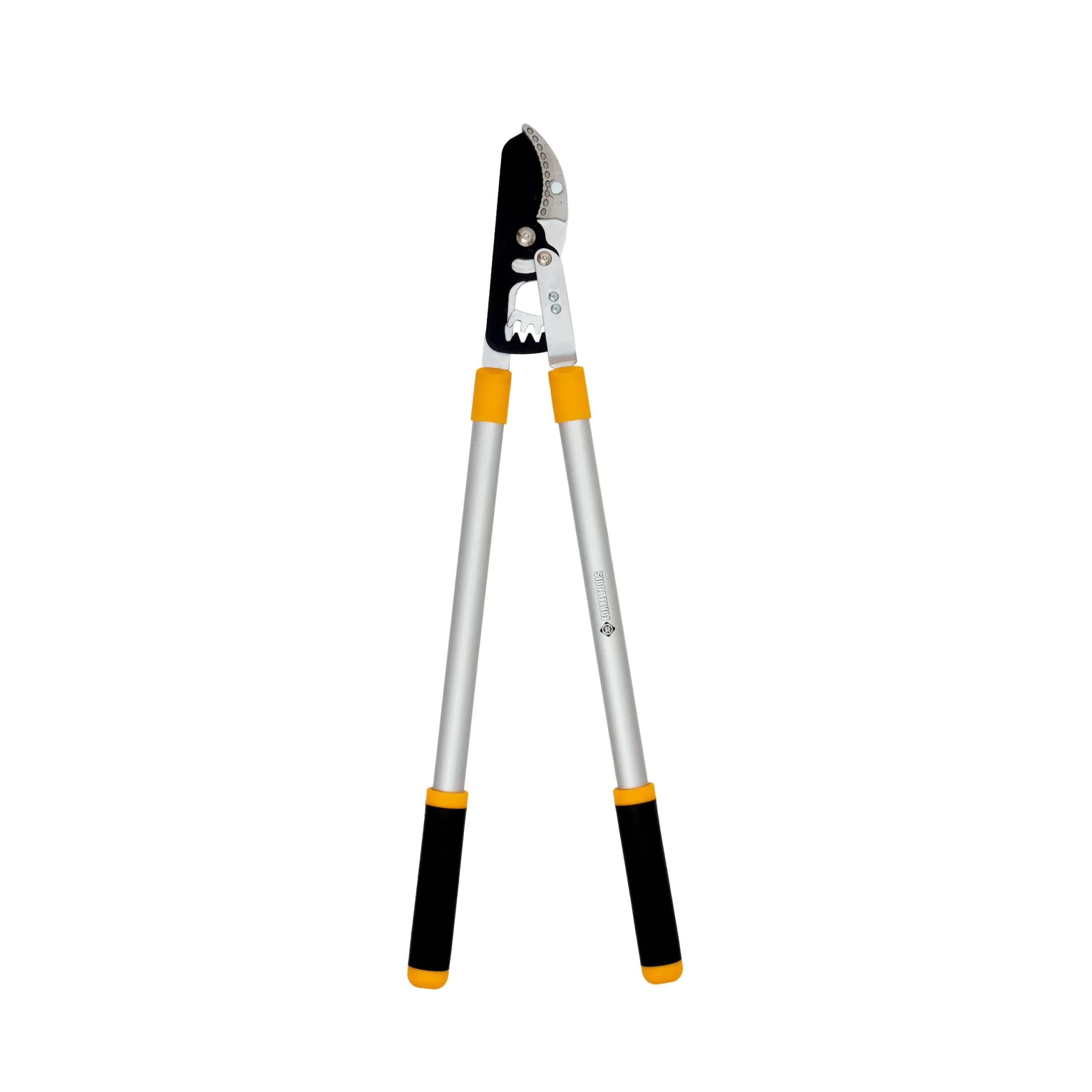 ZARGRIEZIS FORTE TOOLS