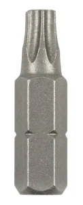 UZGAĻI SKRŪVĒŠANAS T10 25MM 2GB